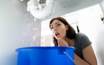 10 Warning Signs Your Home Demands Plumbing Repairs