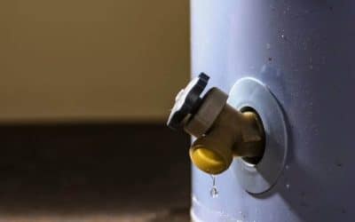 To Flush or Not To Flush a Water Heater