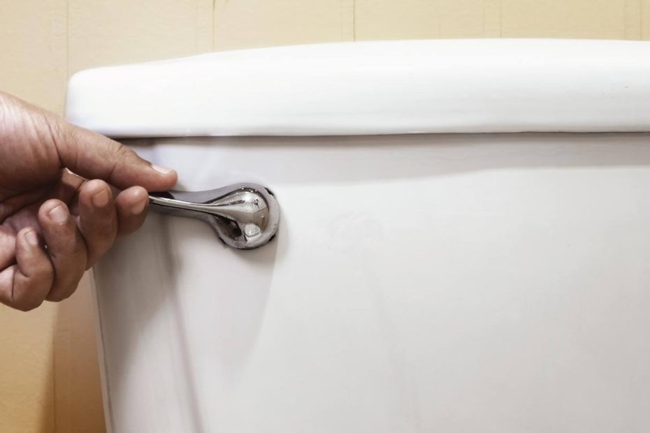A hand on the handle of the toilet, trying to flush it.